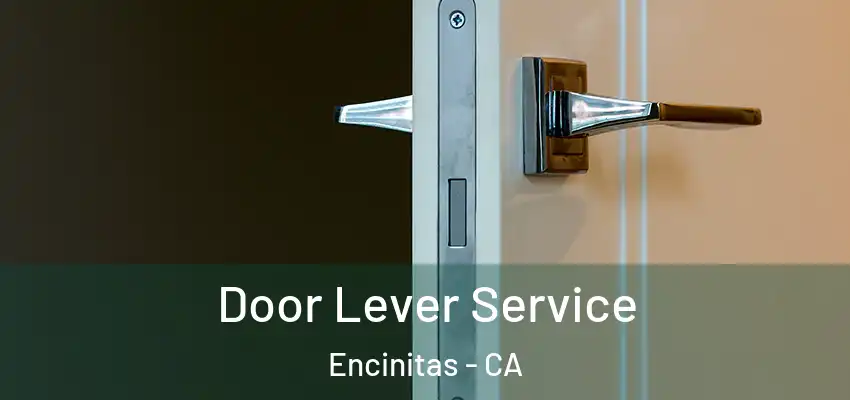  Door Lever Service Encinitas - CA