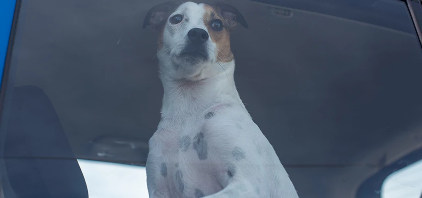 Car Lockout Solutions in Encinitas, California